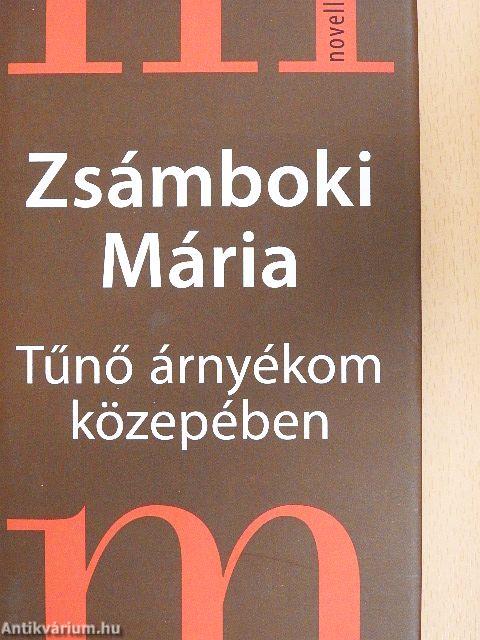 Tűnő árnyékom közepében