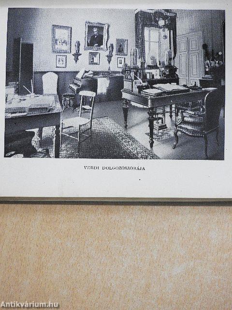 Verdi válogatott levelei