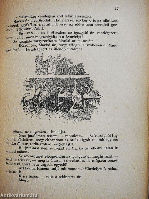 Mackó úr szárazon és vizen