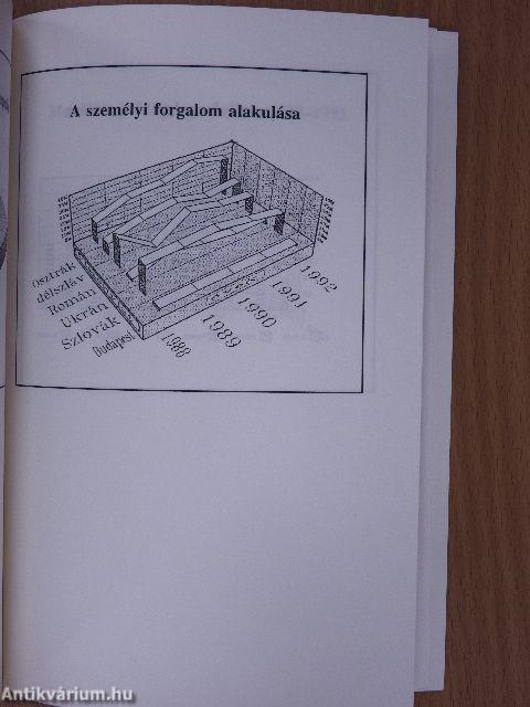 A Magyar Határőrség a rendszerváltás folyamatában