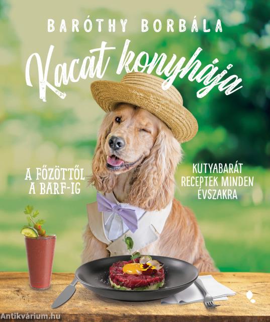 Kacat konyhája