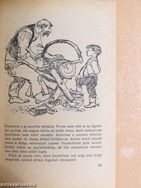 Kincskereső kisködmön