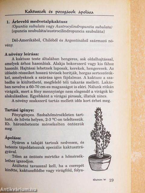 Kaktuszok és pozsgások ápolása