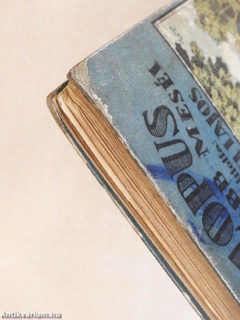 Ezopus legszebb meséi