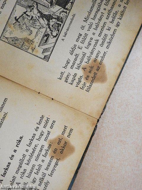 Ezopus legszebb meséi