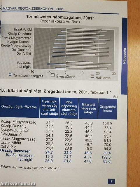 A magyar régiók zsebkönyve 2001