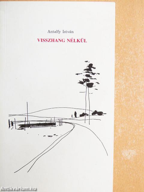 Visszhang nélkül