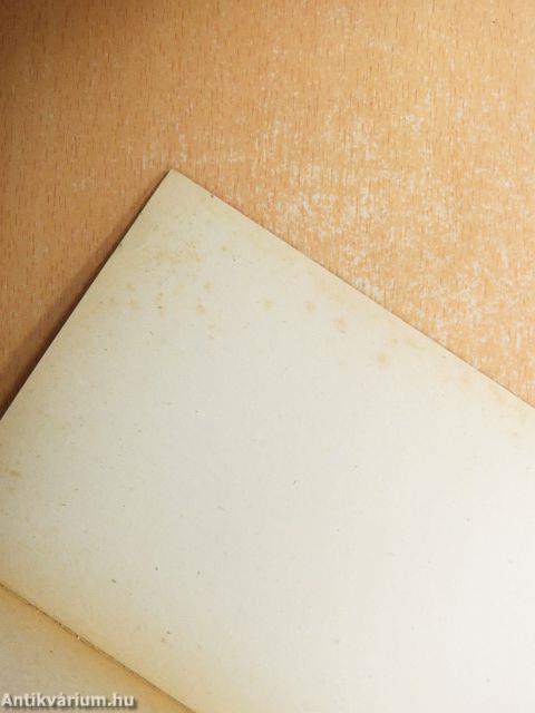 Rémület az óvárosban