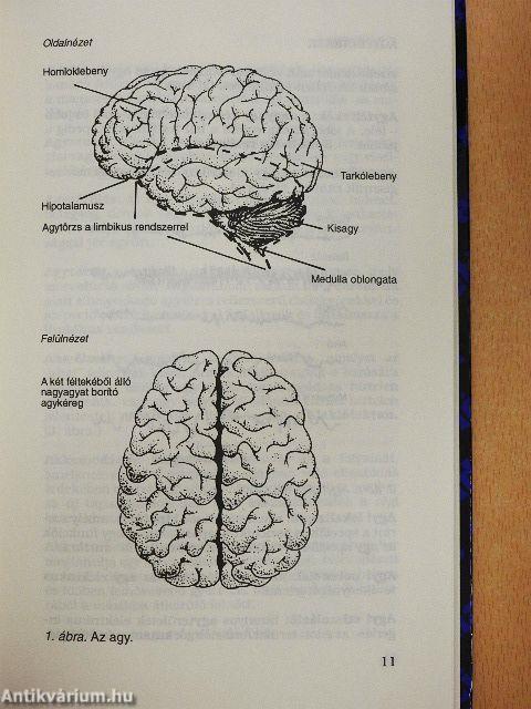 Pszichológiai kisenciklopédia