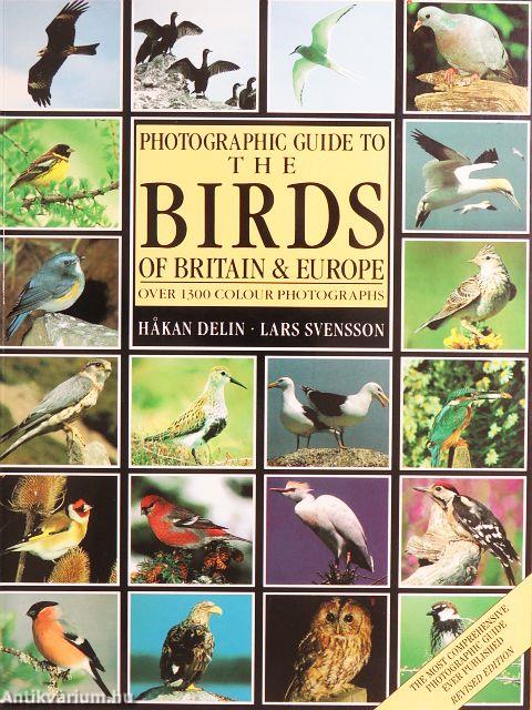 Photographic Guide to the Birds of Britain and Europe