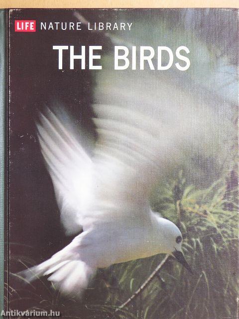 The Birds