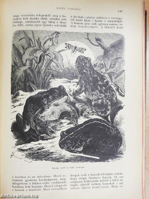 Brehm - Az állatok világa