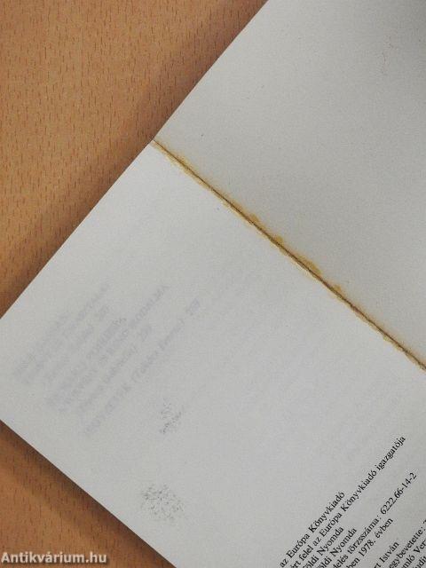 Regény és tapasztalat