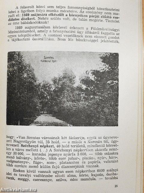 A Széchenyi liget születése