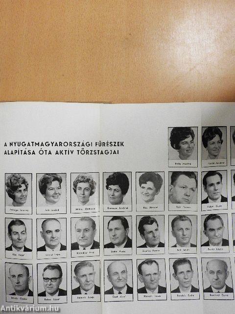 A Nyugatmagyarországi Fűrészek húsz éve 1952-1972.