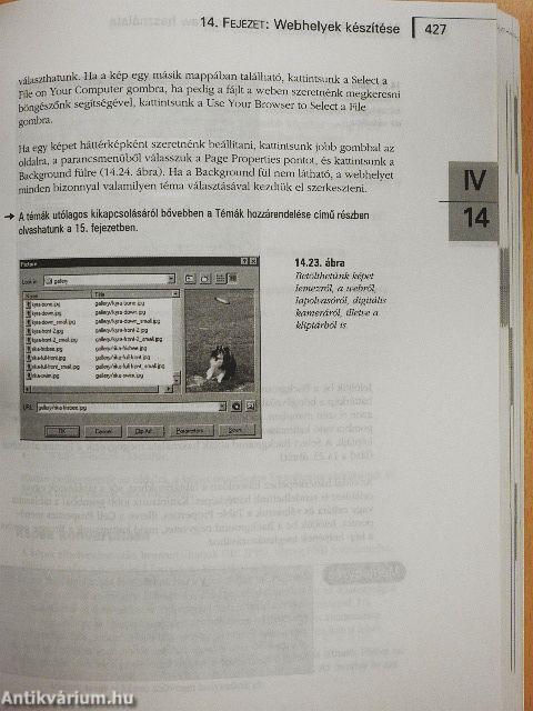 Microsoft Office 2000 I.