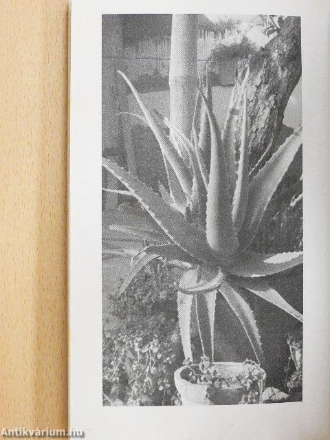 Fitnesz szakácskönyv