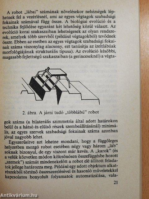 Páros és páratlan