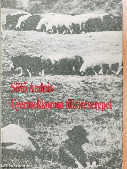 Gyermekkorom tükörcserepei