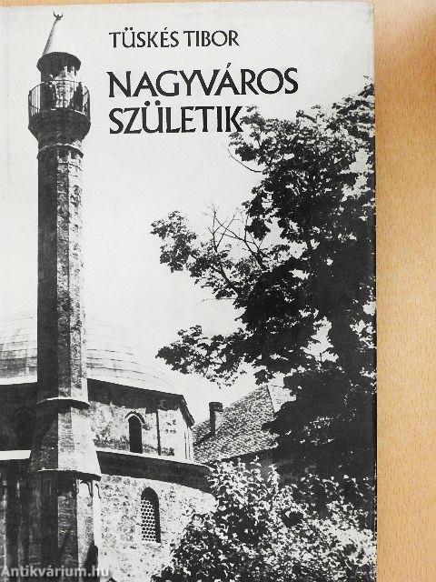 Nagyváros születik