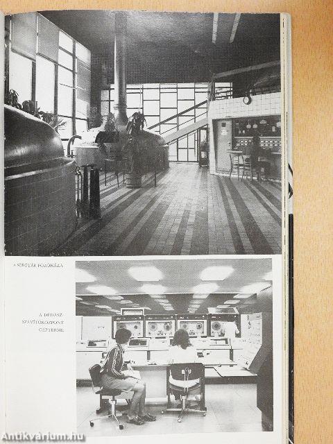 Nagyváros születik