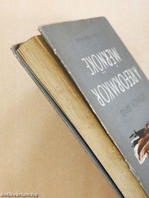 A reformkor mérnöke