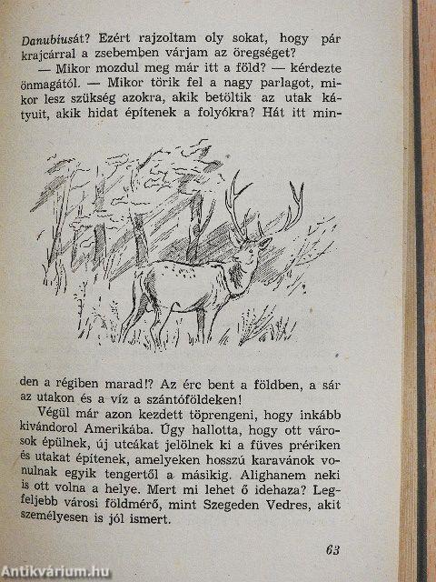 A reformkor mérnöke