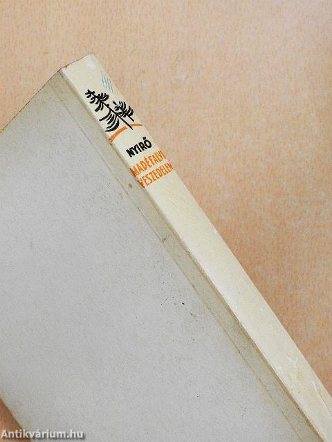 Madéfalvi veszedelem