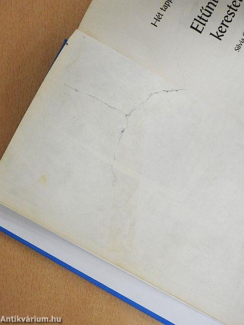 Eltűnt póni kerestetik!