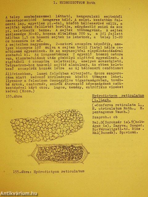 A zöldalgák (chlorococcales) rendjének kishatározója