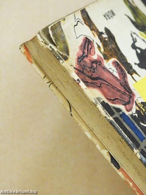 Az indián királyfi