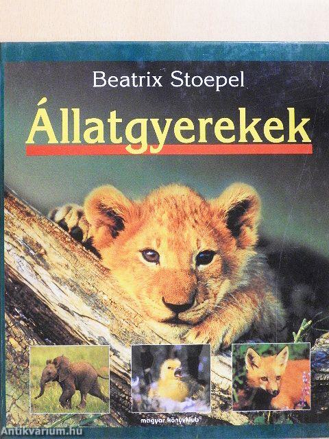 Állatgyerekek