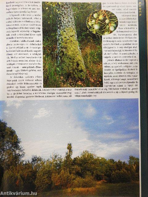 Magyarország száz csodája