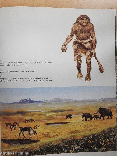 Az őskori ember