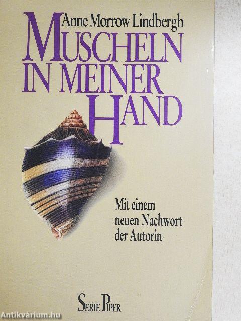 Muscheln in Meiner Hand