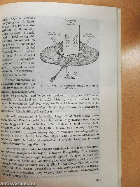 A környezet földrajza