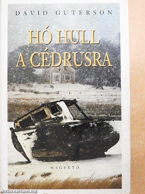 Hó hull a cédrusra