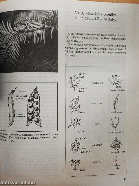 Biológia 6.