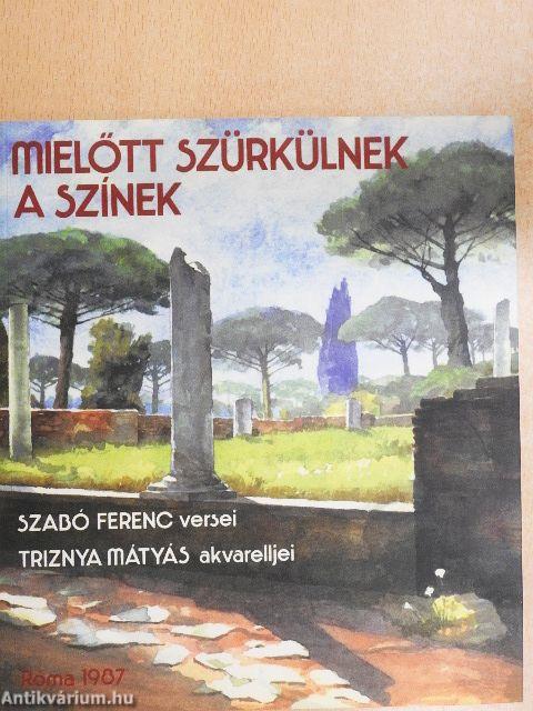 Mielőtt szürkülnek a színek
