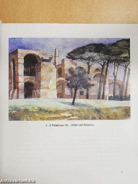 Mielőtt szürkülnek a színek