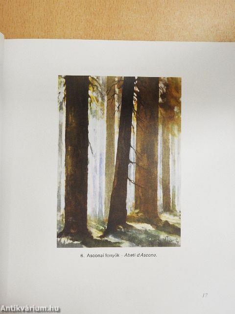 Mielőtt szürkülnek a színek