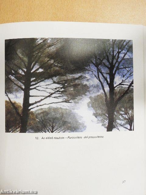 Mielőtt szürkülnek a színek