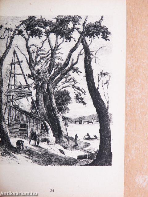 Budapest régi fürdői