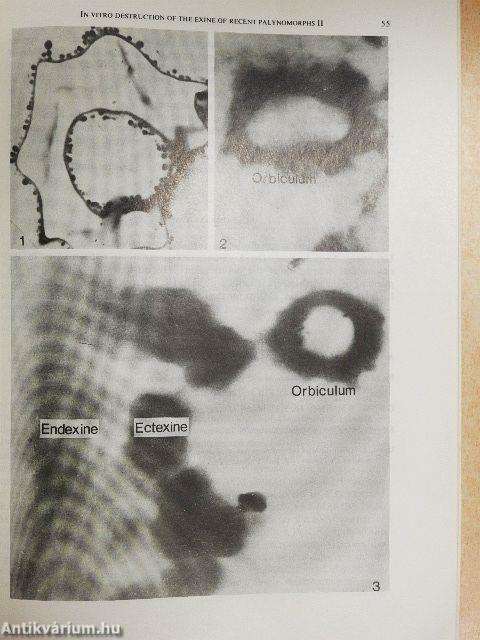 Acta Biologica Tomus XXXIII. Fasciculi 1-4.