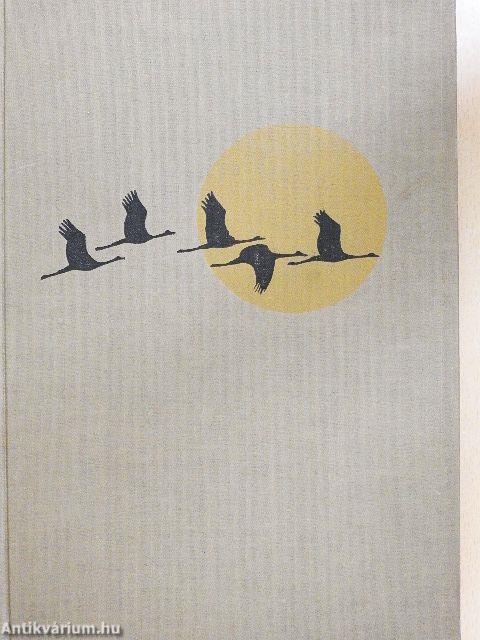 Végtelen vadászmezőkön