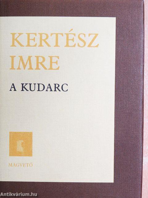 A kudarc