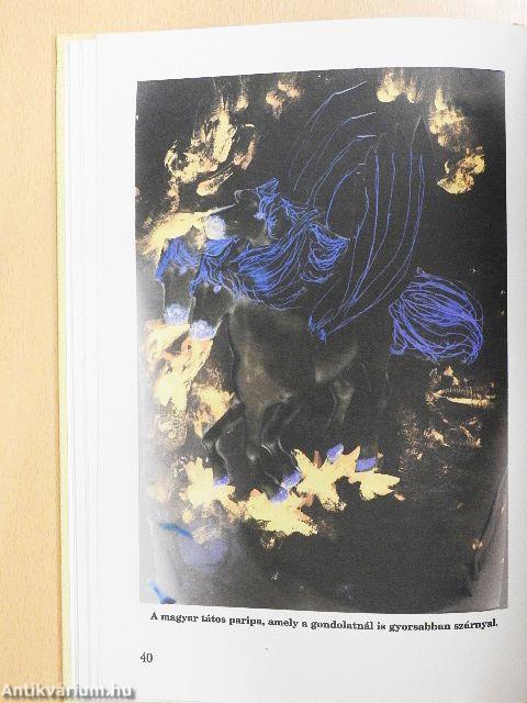 A táltos dobok regéje I.