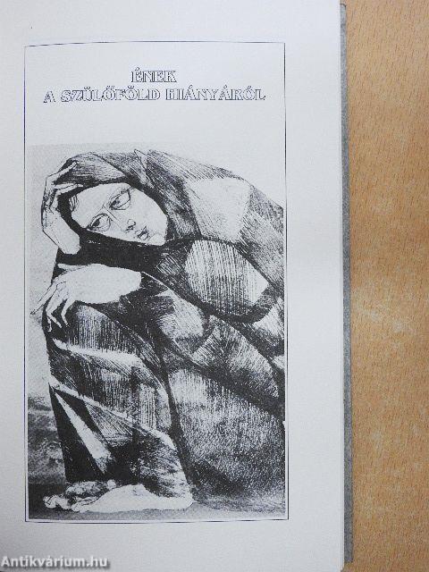 Béri Géza válogatott versei és novellái