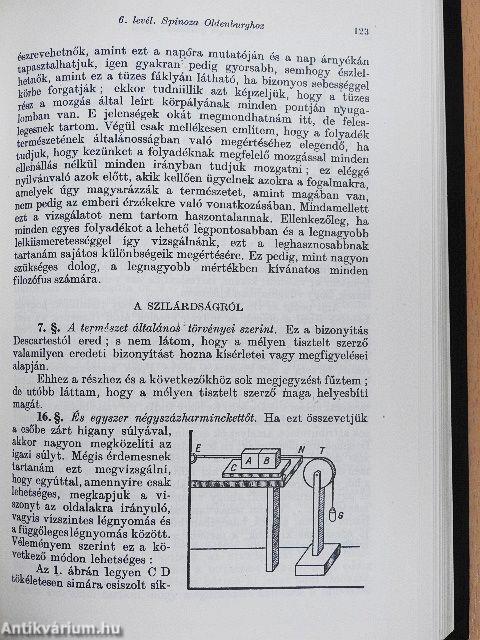 Politikai tanulmány és levelezés