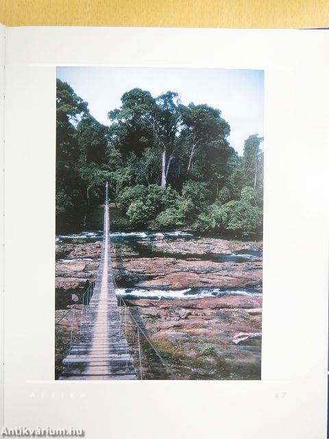 Hét év hét kontinensen